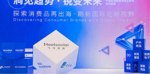 新品類、新渠道、新技術(shù) 飛書深諾沈晨崗談出海品牌如何借數(shù)字技術(shù)服務(wù)開啟新故事